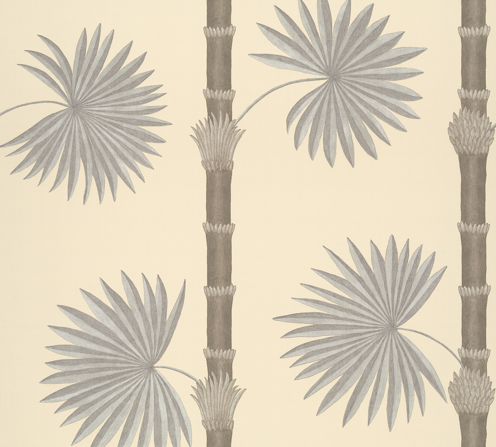 Обои Paint & Paper Library Botany Hardy Palm Canvas III 0360HACANVA
